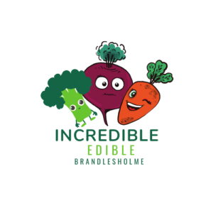 Local Food Bank Collection